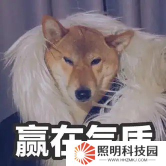 女大曬清涼穿搭，評(píng)論區(qū)炸鍋：這就是讓街拍師追了三條街的秘密？