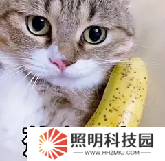 【大河懟策劃】交易區(qū)真的要來啦！