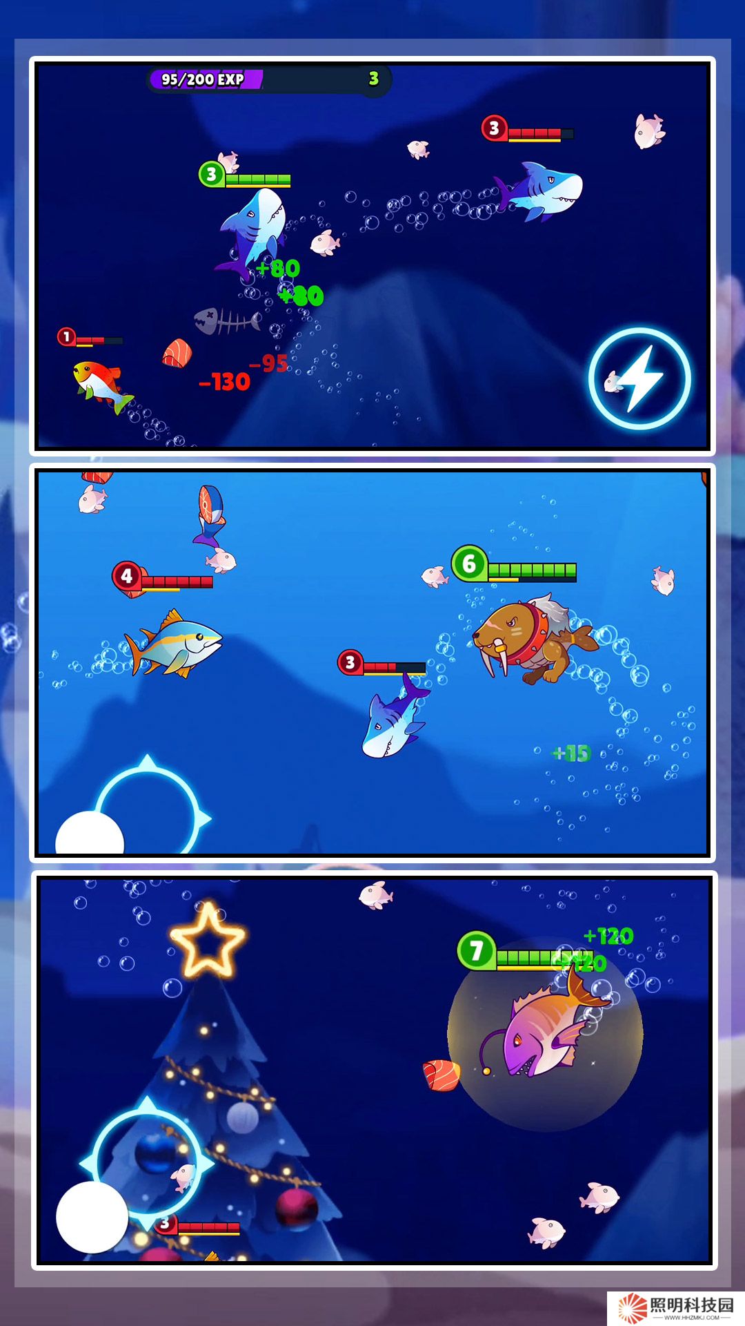 深?？袷?v1.0.5-狂暴鯊魚吞噬魚族